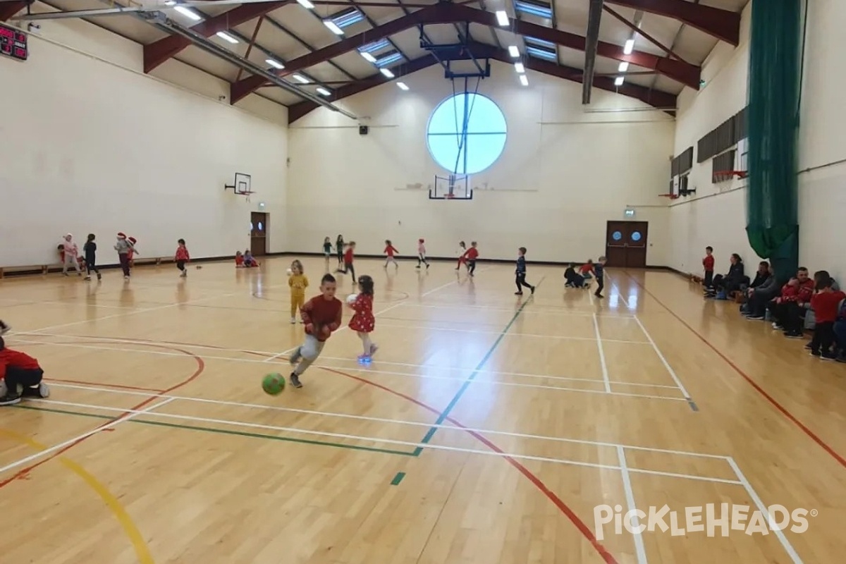 Photo of Pickleball at Avondale GAA Club (Rathdrum)